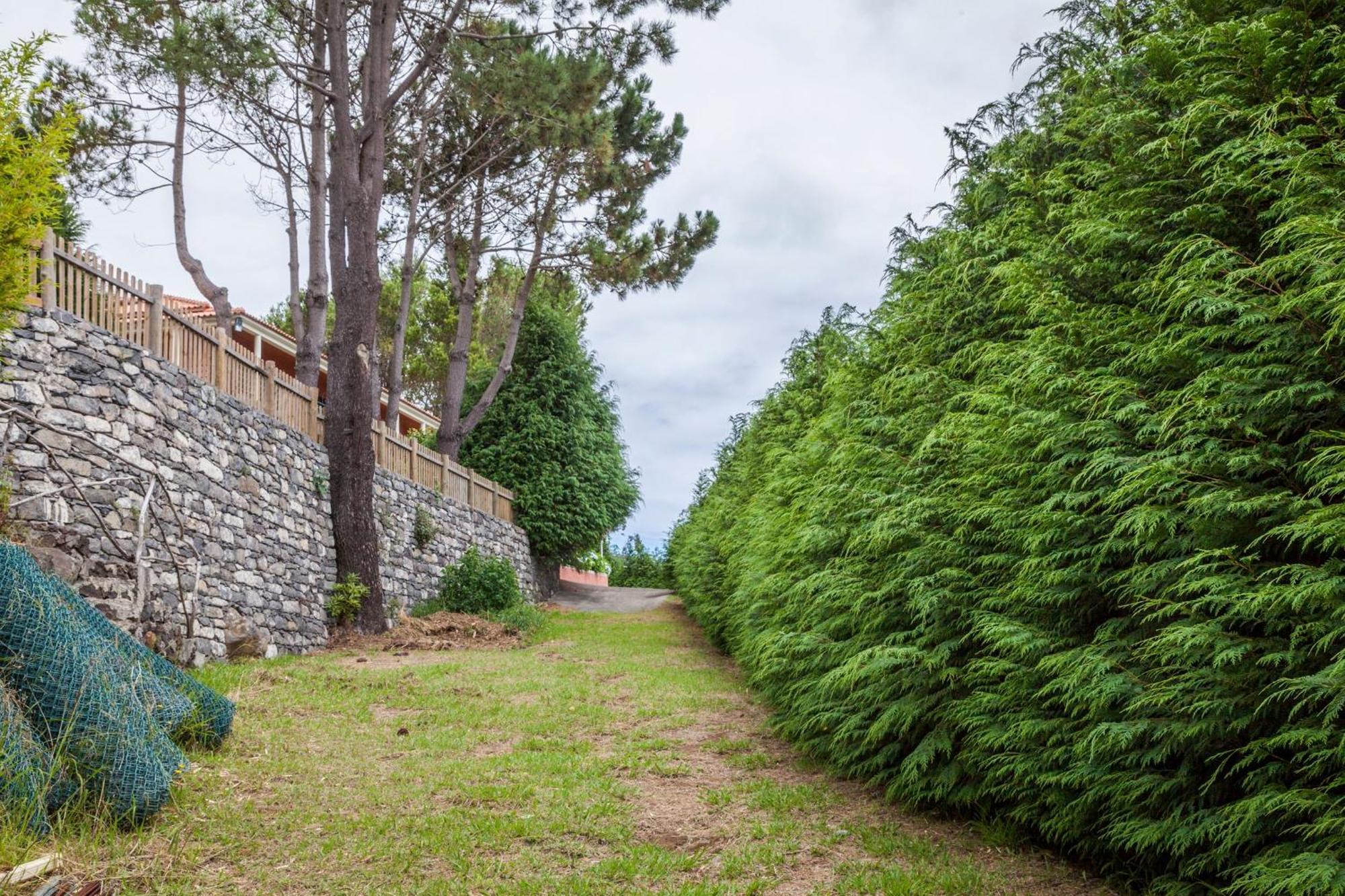 Quinta Do Santo By Lovelystay Santo Antonio da Serra Exterior foto